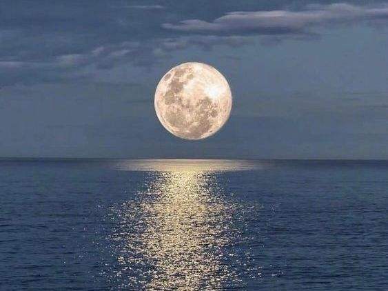 海内存知己，天涯共此时