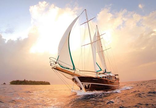 力马与您扬帆制药机械的“星辰大海”