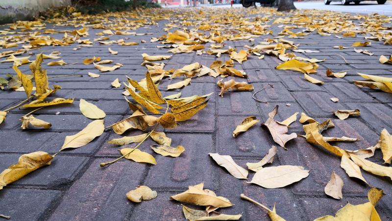 是什么震惊了整个中机六院?不弯腰、不脏手竟把路面「彻底」清扫干净——扫地车