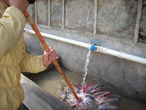 拜托别再用水冲、拖把清洁地面了!看绿地四季印象用的什么,你不想试试?