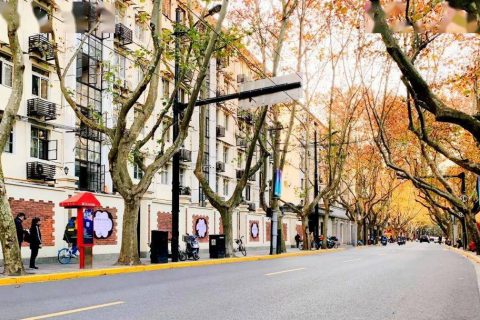 从“表面保洁”到“深度保洁”看上海道路清扫环卫车的不断发展