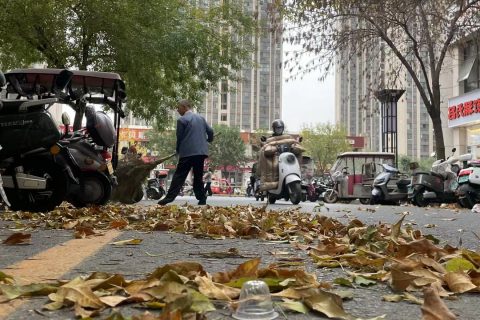 详细介绍中型扫地车